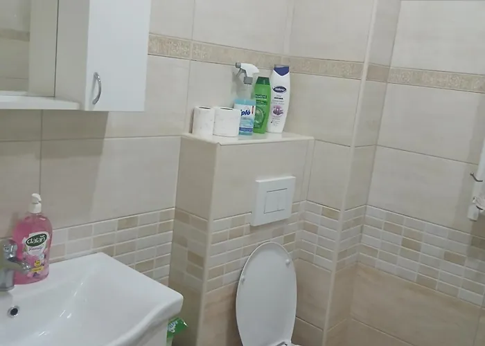 アパート Mira Banja Koviljača